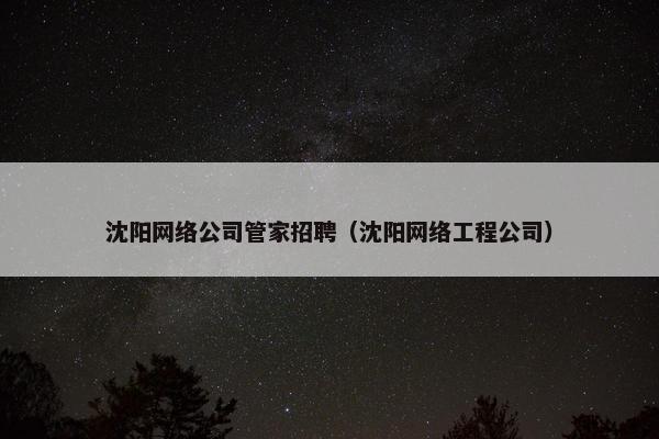 沈阳网络公司管家招聘（沈阳网络工程公司）