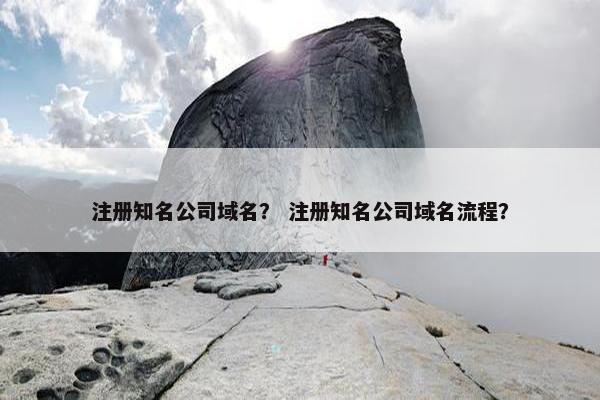 注册知名公司域名？ 注册知名公司域名流程？