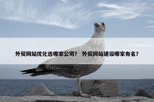外贸网站优化选哪家公司？ 外贸网站建设哪家有名？