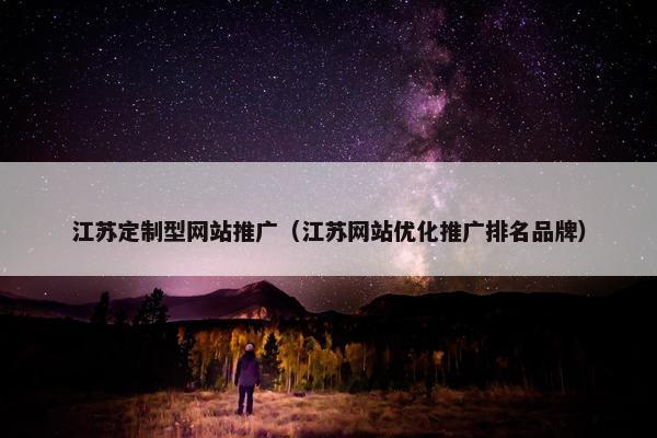 江苏定制型网站推广（江苏网站优化推广排名品牌）
