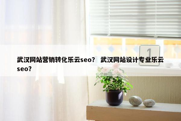 武汉网站营销转化乐云seo？ 武汉网站设计专业乐云seo？