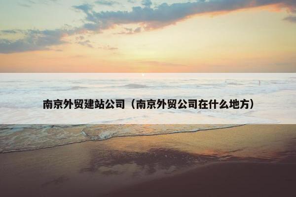 南京外贸建站公司（南京外贸公司在什么地方）