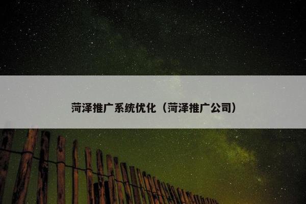 菏泽推广系统优化（菏泽推广公司）