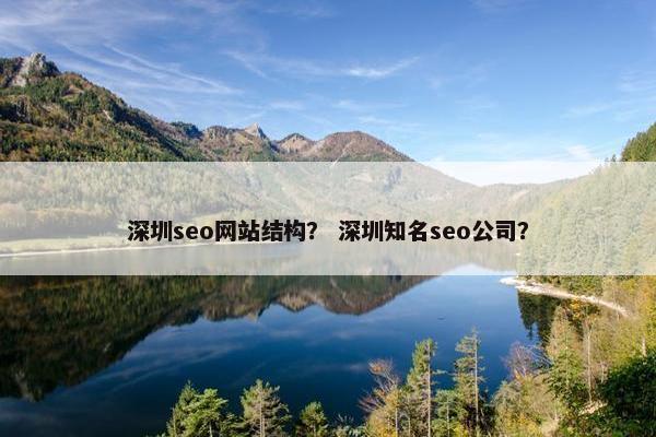 深圳seo网站结构？ 深圳知名seo公司？