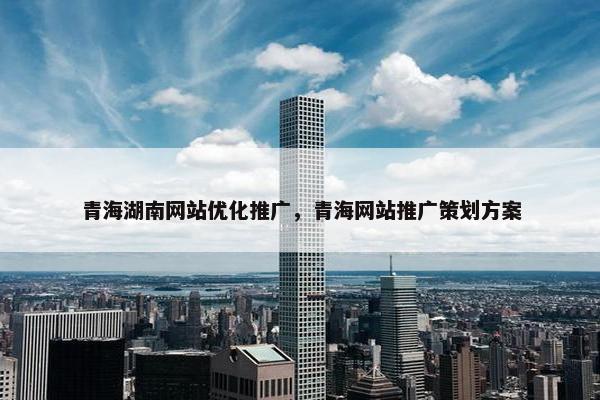 青海湖南网站优化推广，青海网站推广策划方案