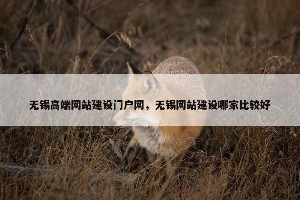 无锡高端网站建设门户网，无锡网站建设哪家比较好