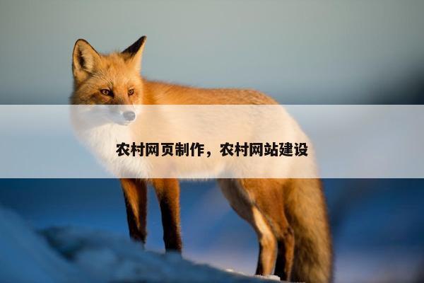 农村网页制作，农村网站建设