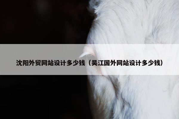 沈阳外贸网站设计多少钱（吴江国外网站设计多少钱）