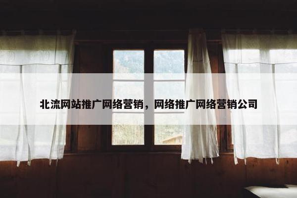 北流网站推广网络营销，网络推广网络营销公司