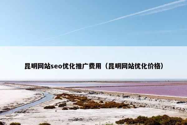 昆明网站seo优化推广费用（昆明网站优化价格）