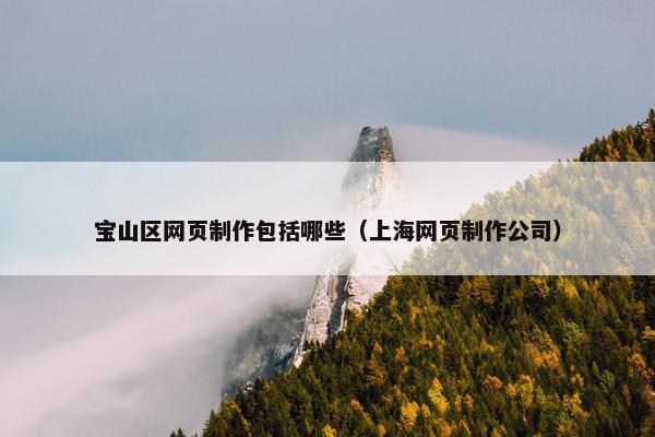 宝山区网页制作包括哪些（上海网页制作公司）