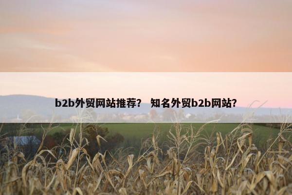 b2b外贸网站推荐？ 知名外贸b2b网站？
