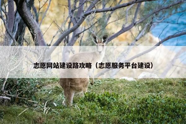 志愿网站建设路攻略（志愿服务平台建设）