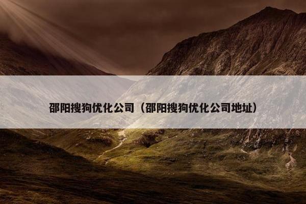 邵阳搜狗优化公司（邵阳搜狗优化公司地址）