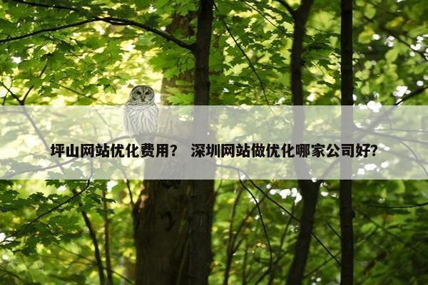 坪山网站优化费用？ 深圳网站做优化哪家公司好？