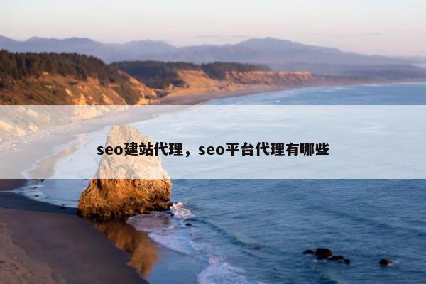 seo建站代理，seo平台代理有哪些