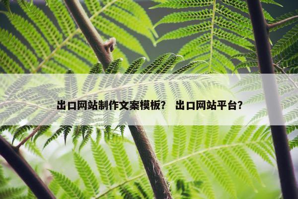 出口网站制作文案模板？ 出口网站平台？