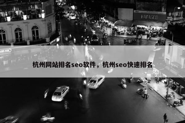 杭州网站排名seo软件，杭州seo快速排名