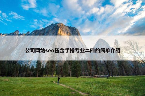 公司网站seo伍金手指专业二四的简单介绍
