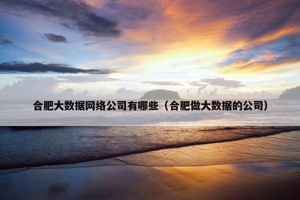 合肥大数据网络公司有哪些（合肥做大数据的公司）