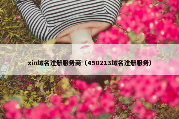 xin域名注册服务商（450213域名注册服务）