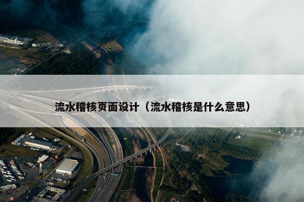 流水稽核页面设计（流水稽核是什么意思）