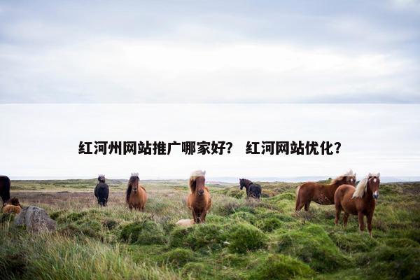红河州网站推广哪家好？ 红河网站优化？