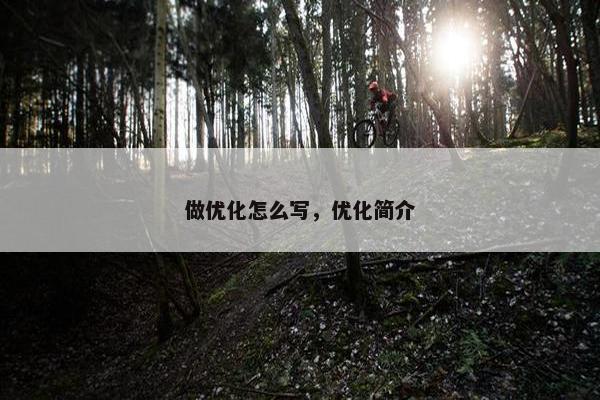 做优化怎么写，优化简介
