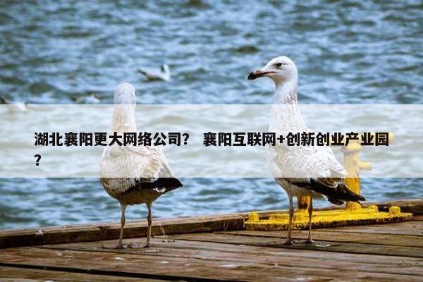 湖北襄阳更大网络公司？ 襄阳互联网+创新创业产业园？