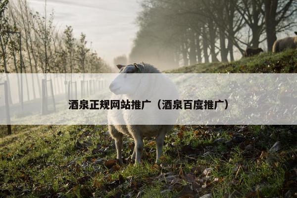 酒泉正规网站推广（酒泉百度推广）