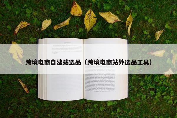 跨境电商自建站选品（跨境电商站外选品工具）
