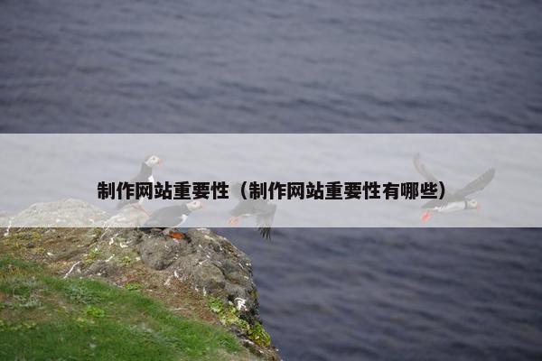 制作网站重要性（制作网站重要性有哪些）