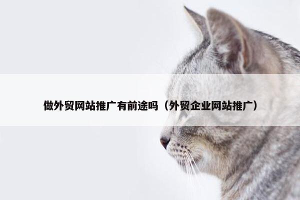 做外贸网站推广有前途吗（外贸企业网站推广）
