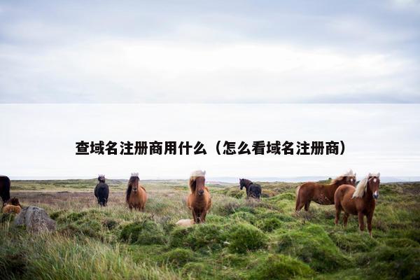 查域名注册商用什么（怎么看域名注册商）