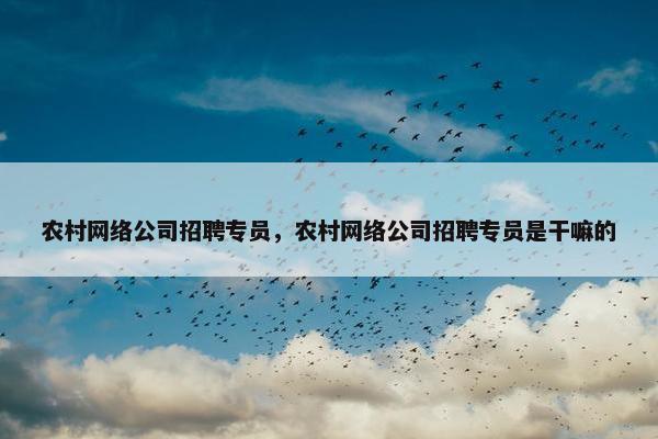 农村网络公司招聘专员，农村网络公司招聘专员是干嘛的