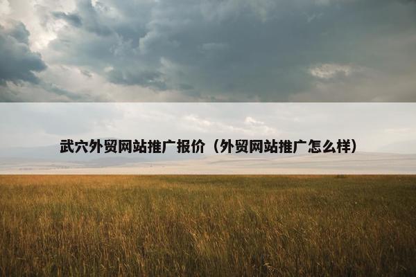 武穴外贸网站推广报价（外贸网站推广怎么样）