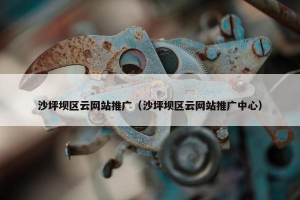 沙坪坝区云网站推广（沙坪坝区云网站推广中心）