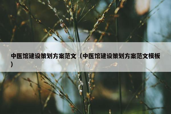 中医馆建设策划方案范文（中医馆建设策划方案范文模板）