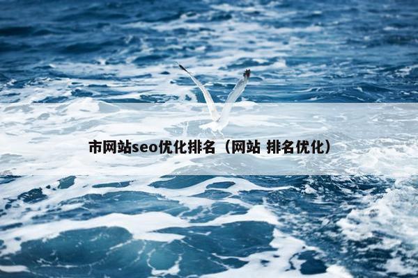 市网站seo优化排名（网站 排名优化）