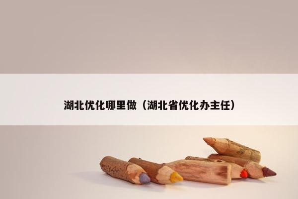 湖北优化哪里做（湖北省优化办主任）