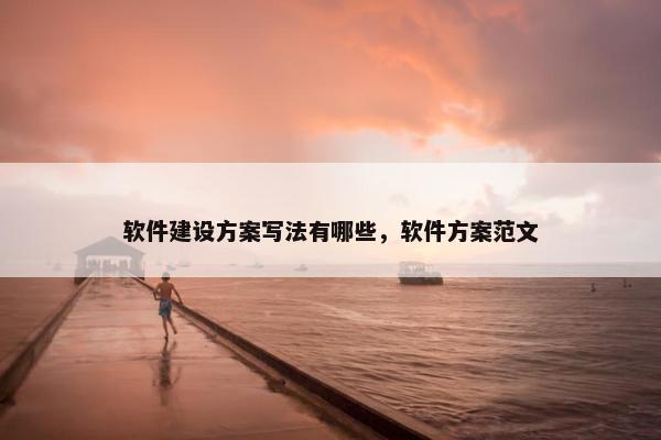 软件建设方案写法有哪些，软件方案范文