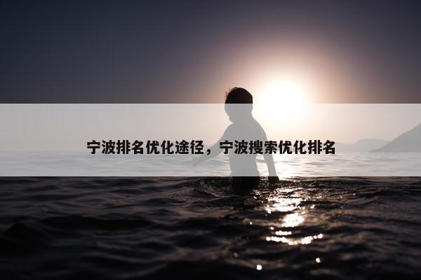 宁波排名优化途径，宁波搜索优化排名