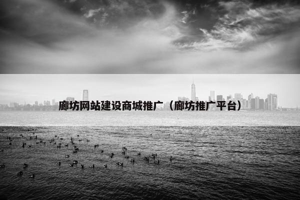 廊坊网站建设商城推广（廊坊推广平台）