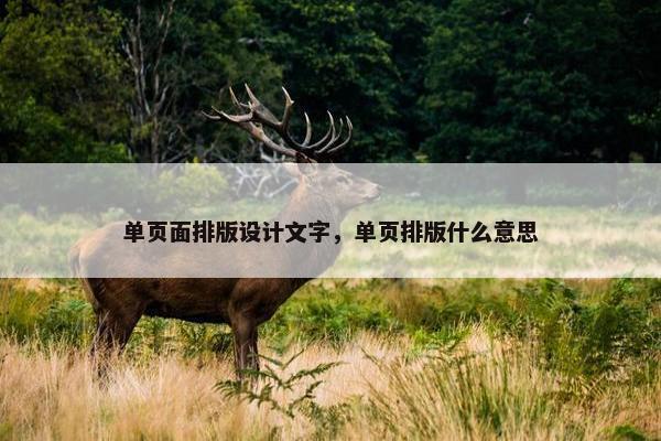 单页面排版设计文字，单页排版什么意思