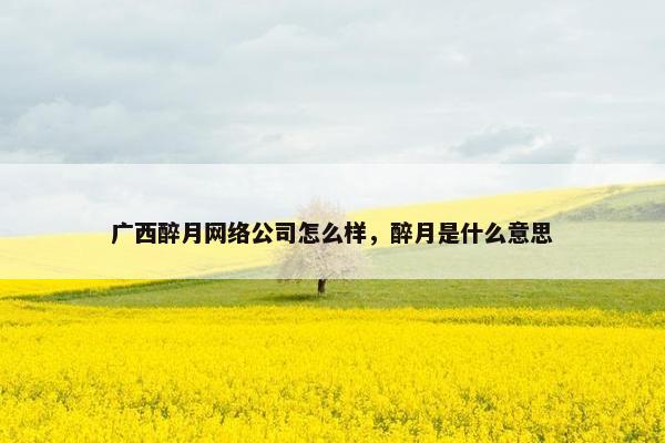 广西醉月网络公司怎么样，醉月是什么意思