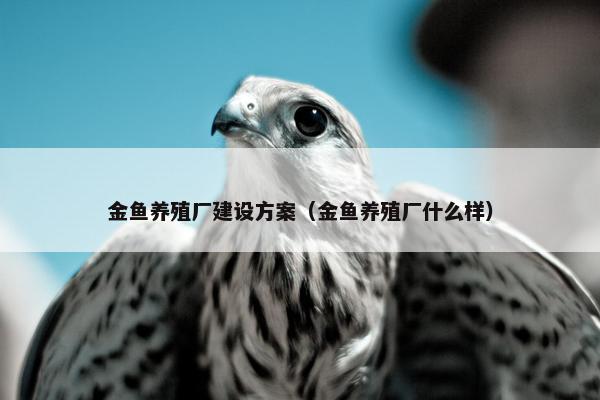 金鱼养殖厂建设方案（金鱼养殖厂什么样）