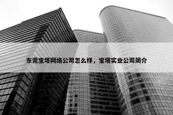 东莞宝塔网络公司怎么样，宝塔实业公司简介