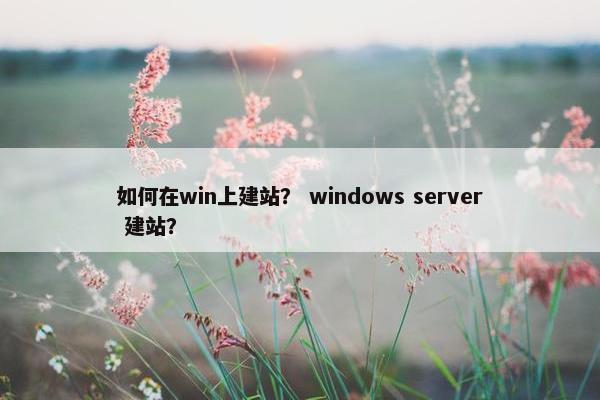 如何在win上建站？ windows server 建站？