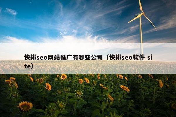 快排seo网站推广有哪些公司（快排seo软件 site）