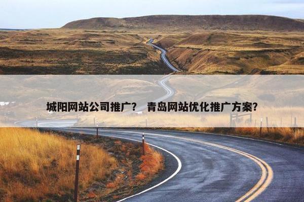 城阳网站公司推广？ 青岛网站优化推广方案？